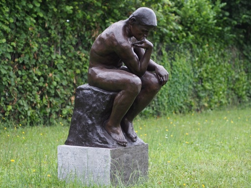 Grote Denker Van Rodin Reproductie
