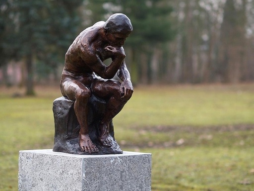 Denker Van Rodin Reproductie
