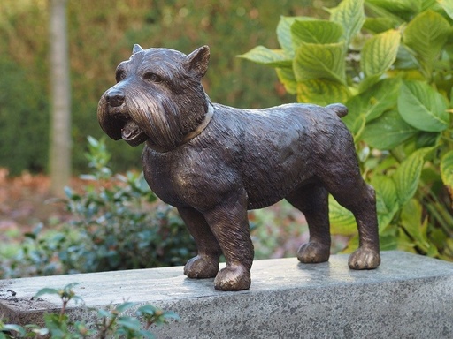 Yorkshire Hond brons