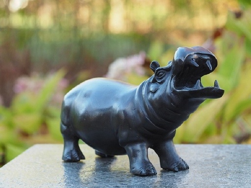 Nijlpaard klein brons
