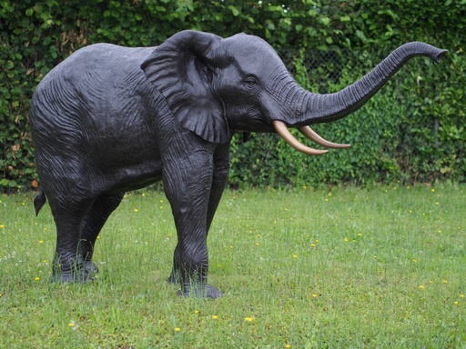 Olifant groot brons
