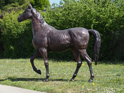 Paard zeer groot brons