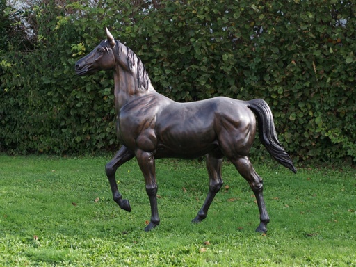 Paard groot brons