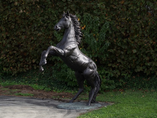 Steigerend paard brons