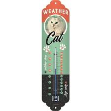 Thermometer Weather cat